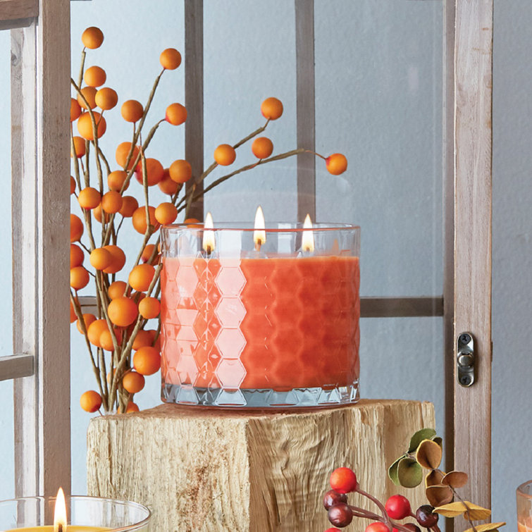 Root Candles Pumpkin Spice Scented Jar Candle & Reviews Wayfair